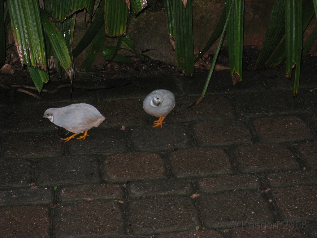 Michigans West Coast 2009 0595.jpg - Labor Day 2009. A trip along Michigans west coast to see beachs, art and buffets.